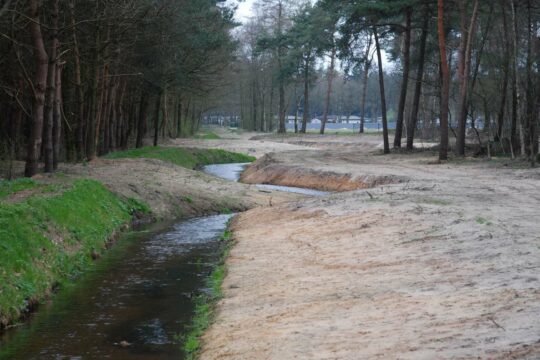 Beekherstel Snelle Loop, Milheeze