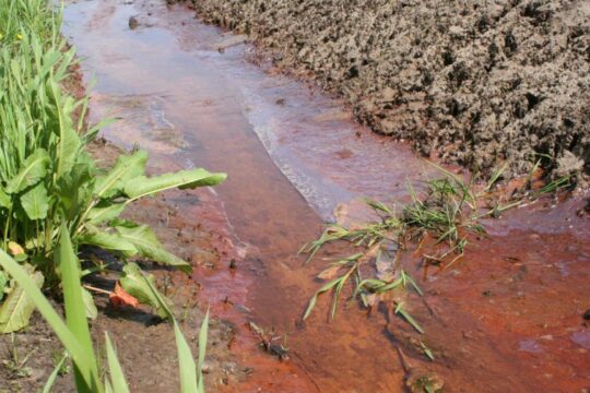 Bronherstel Geneneind, Gemert-Bakel
