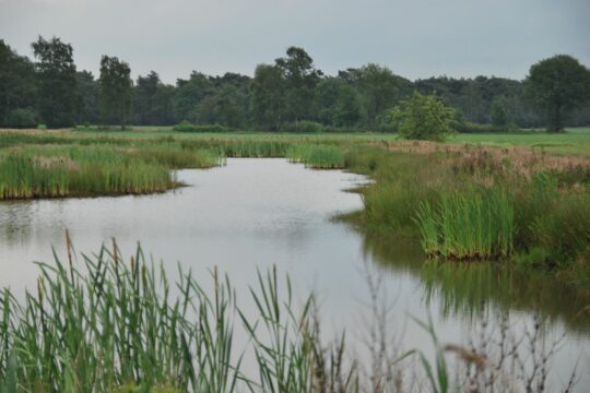 Integraal Gebieds Programma, Bakel-Milheeze