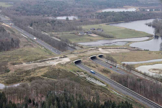 Ecoduct Dwingelderveld, rijksweg A28