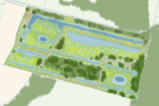 Dassenplas Moerstraten