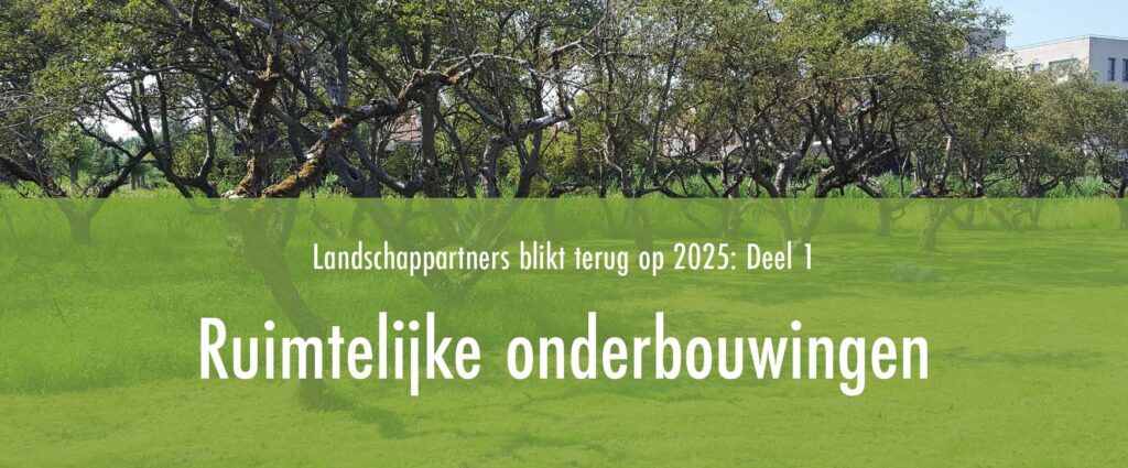 Terugblik op 2025 deel 1: Ruimtelijke onderbouwingen